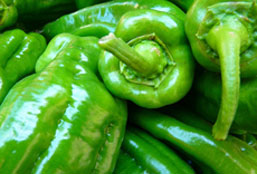 极速启动流畅的电话号码轰炸app